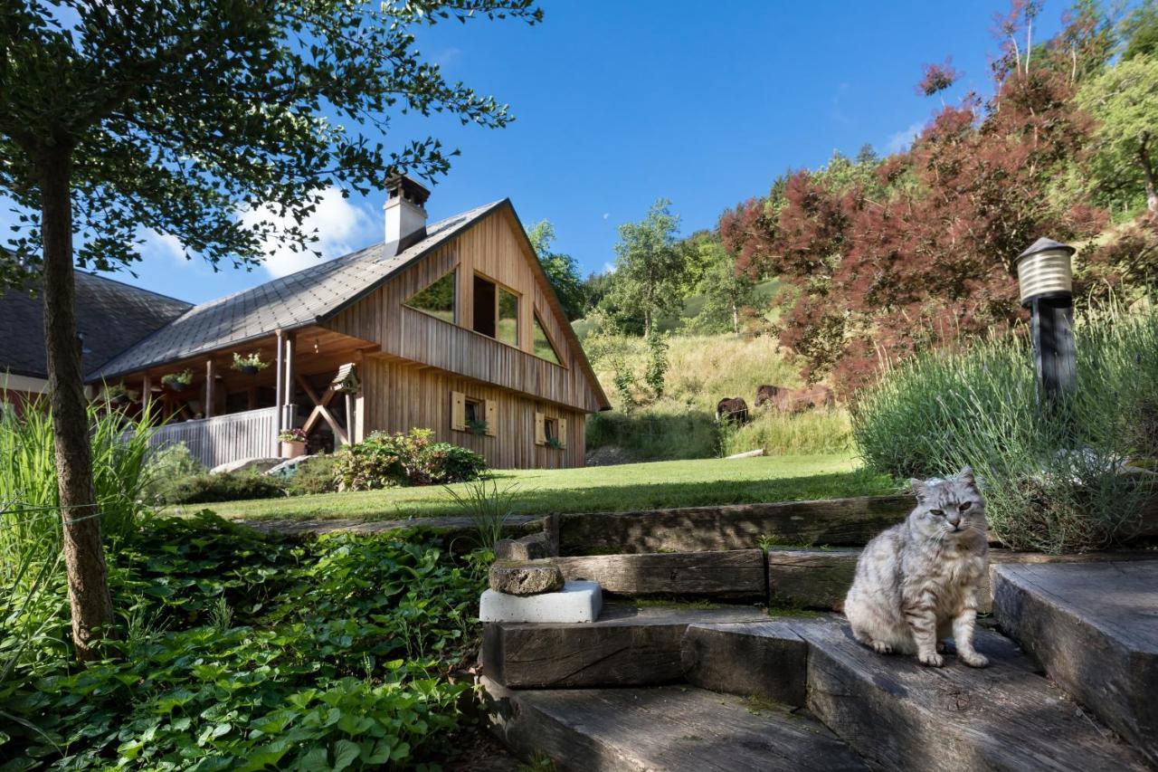 Homestead Farm Tesnak Gorenja Vas  Exterior foto